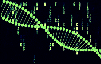 DNA-Matrix