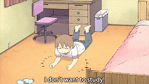 no-studying