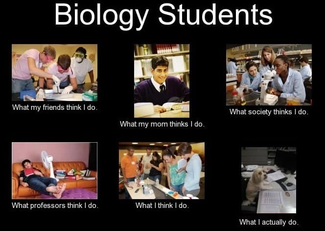 Biology studying