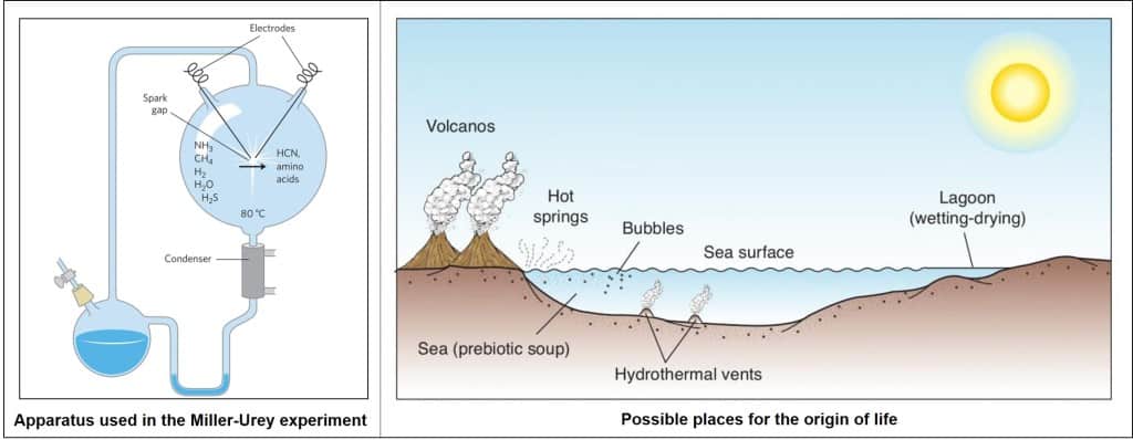 Origin of Life Experimet